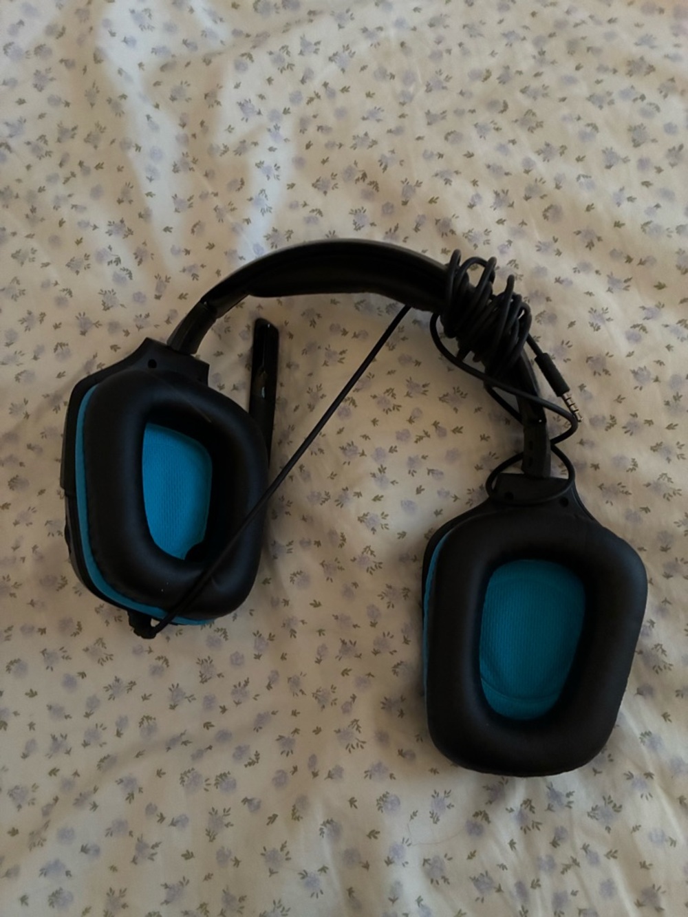 Black and Blue Gaming headphones